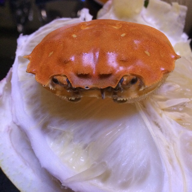 清蒸大闸蟹