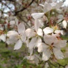 一曲终了 繁花散尽