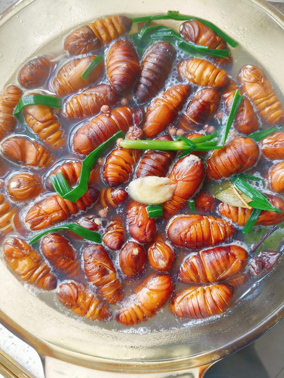 盐水煮蚕蛹