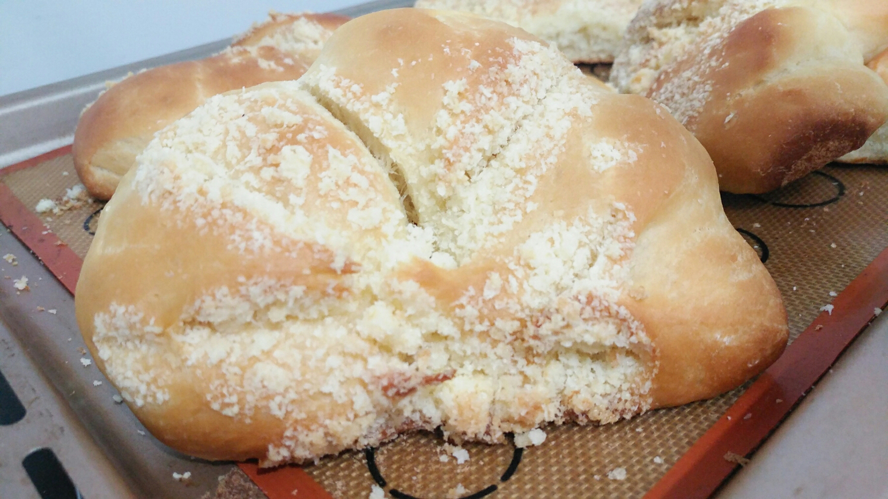椰蓉蝴蝶面包的做法