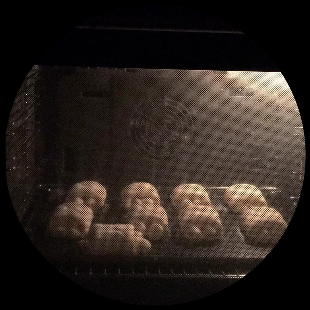 牛奶面包---5°冷藏基础发酵