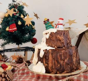 圣诞节树桩蛋糕的做法 步骤23