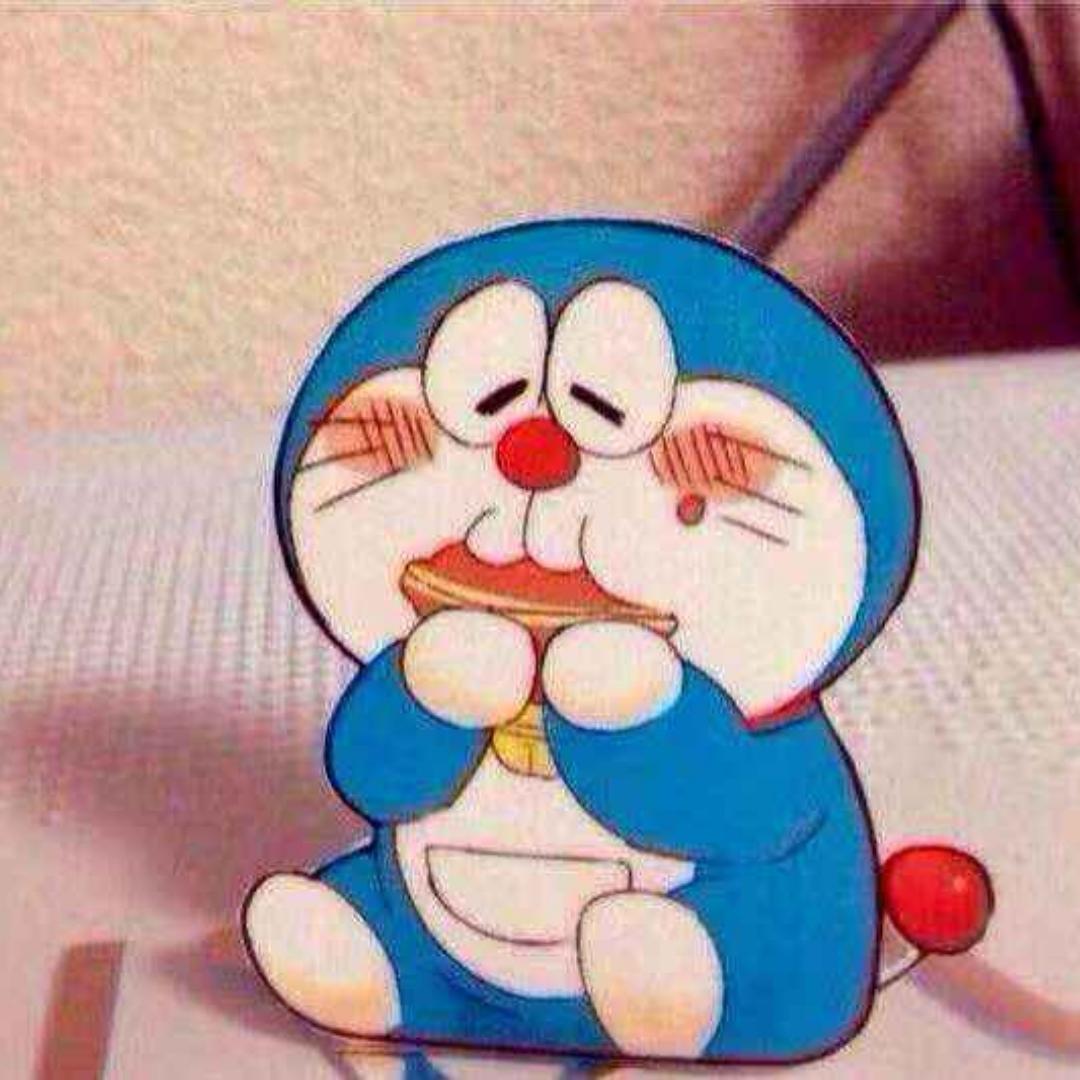 爱乱做菜的厨房小白