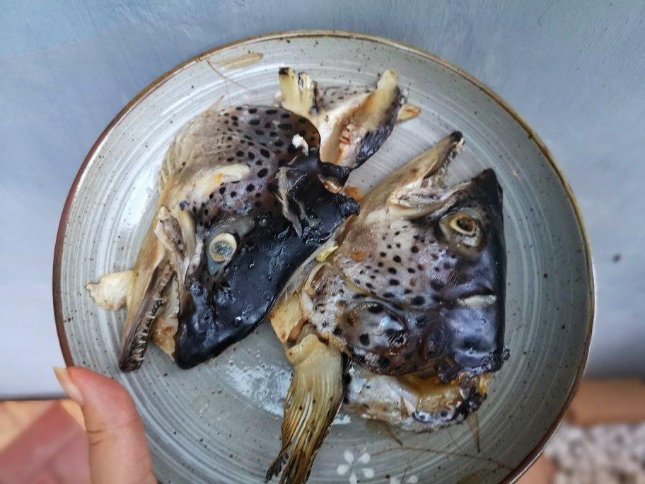 盐烤三文鱼头