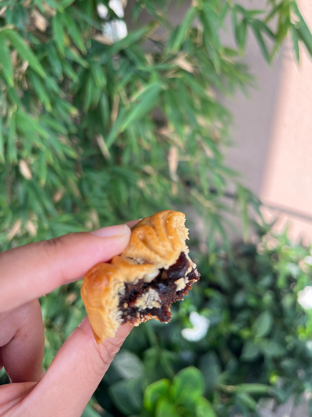 广式月饼（纹路清晰的秘密）