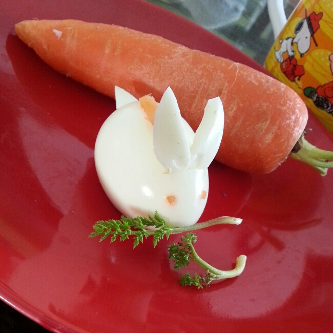 山猪君nemo做的一颗水煮兔子蛋『是兔子蛋不是奥特蛋』