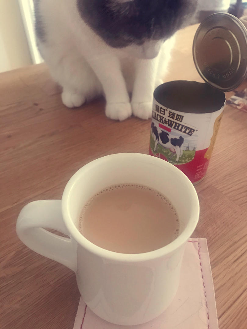 港式奶茶——一次用掉一整罐黑白淡奶