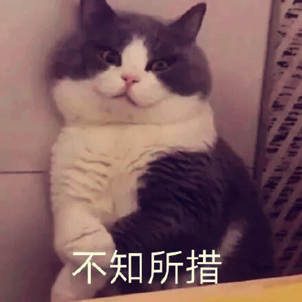 不知所措的小透明