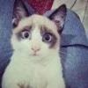 Hey_Mrs