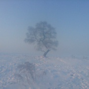 丢丢不靠谱斯基