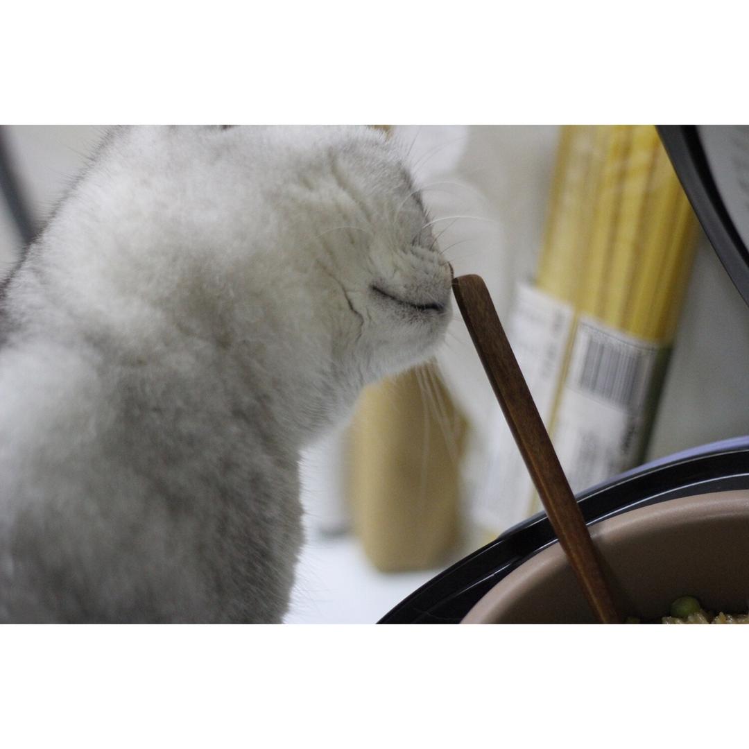 土豆焖饭（电饭锅版）