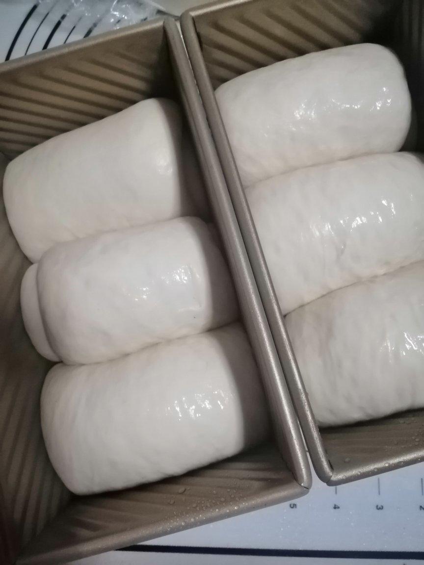 【中种白吐司】❗清甜百搭的吐司面包