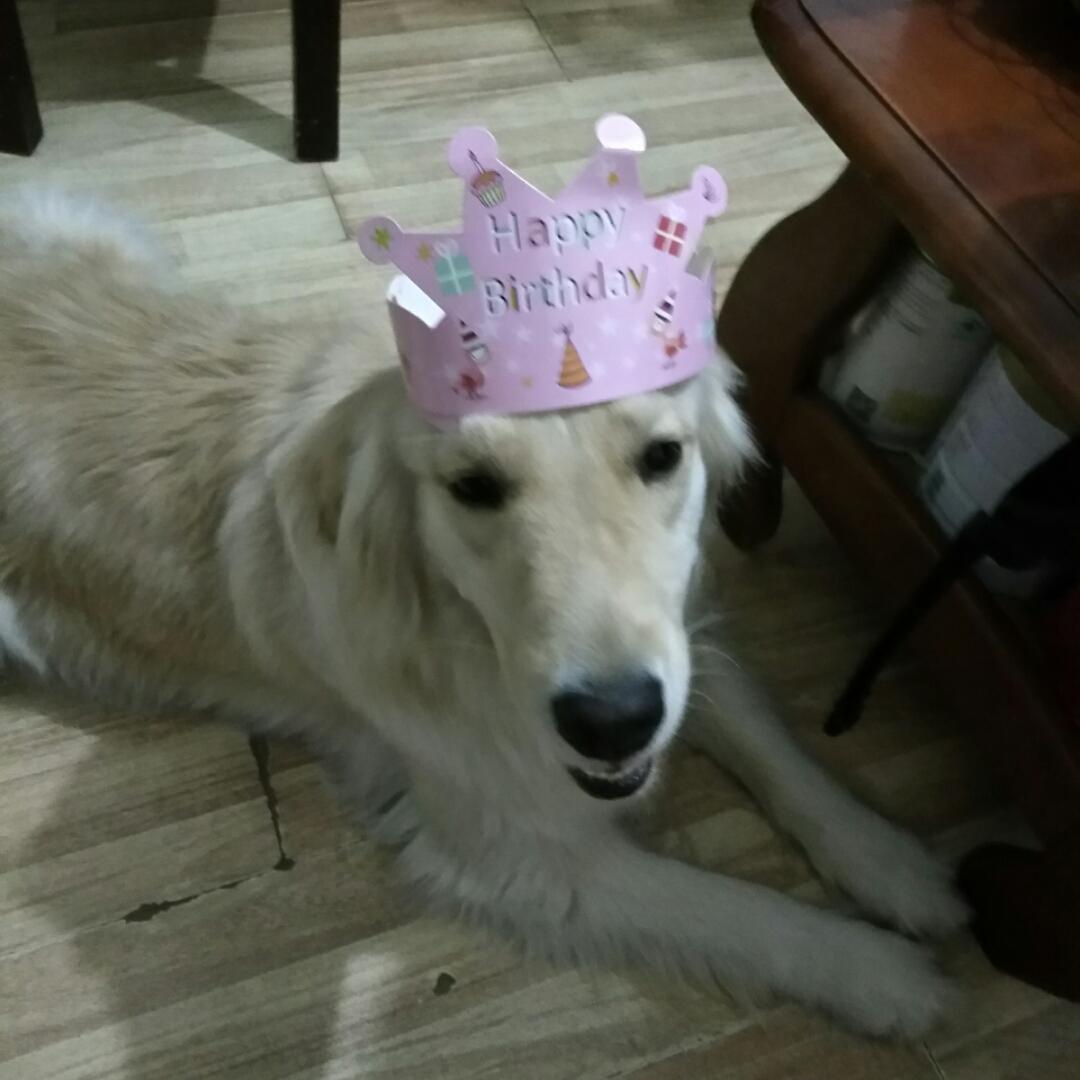 旖旎小太阳