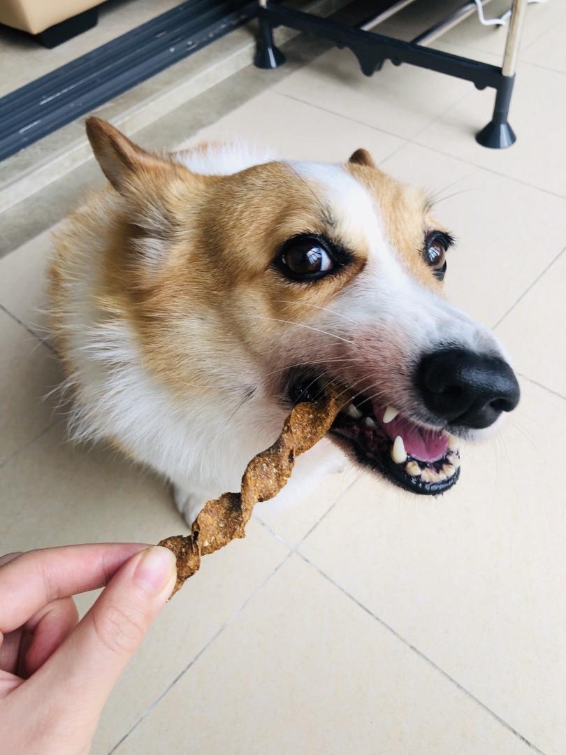 胡蘿蔔牛肉磨牙棒—我家狗寶超愛的零食之一
