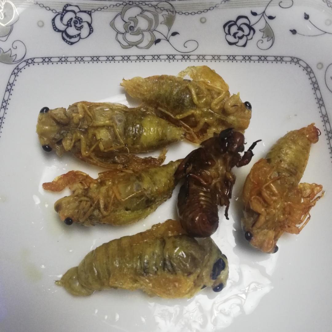 手机用户9953_vlpu