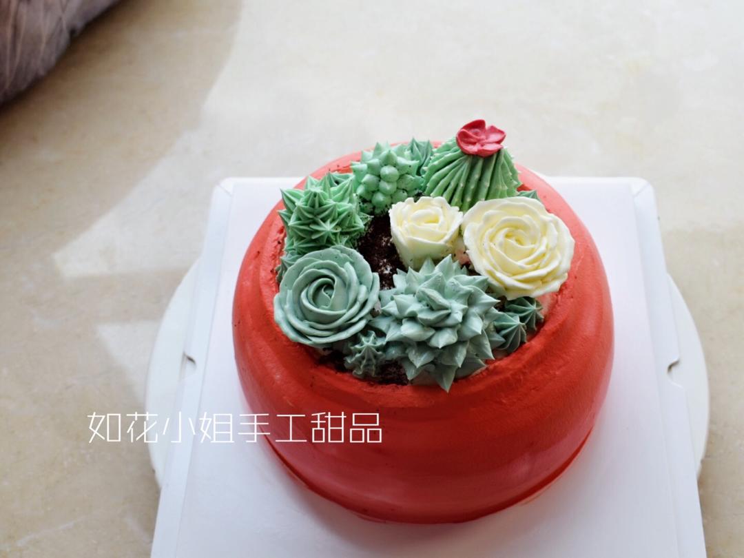 多肉植物花盆