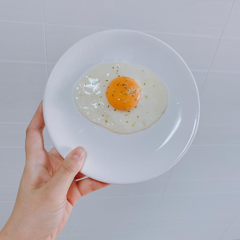 【熊记】太阳蛋
