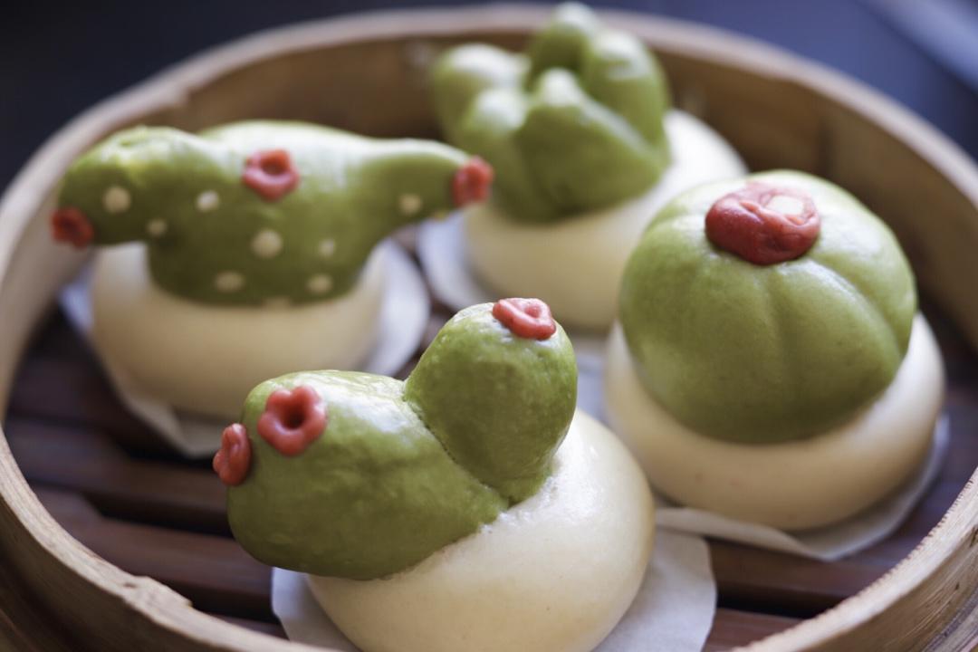 原创｜小清新仙人掌盆栽馒头