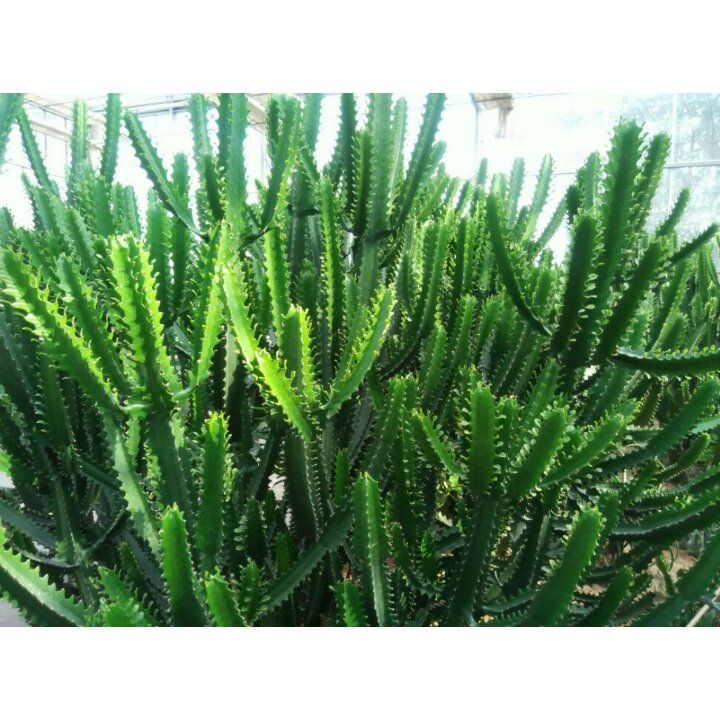 手机用户2136_0nso