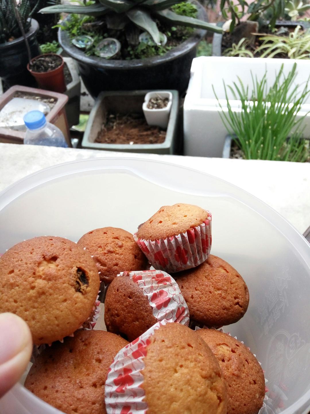 马德琳面糊的杯子的做法