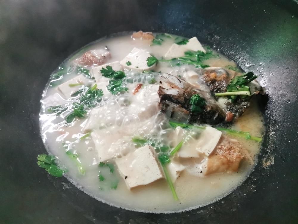 鱼头豆腐芫茜汤的做法 步骤6