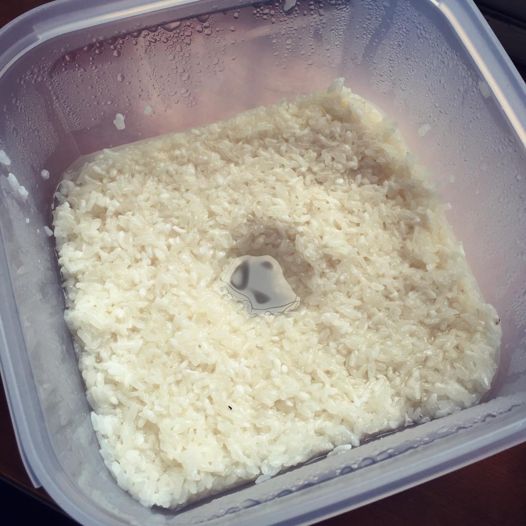 【曼食慢语】酒酿