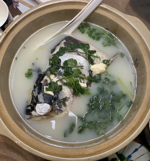 太湖花鲢鱼头豆腐汤的做法 步骤4