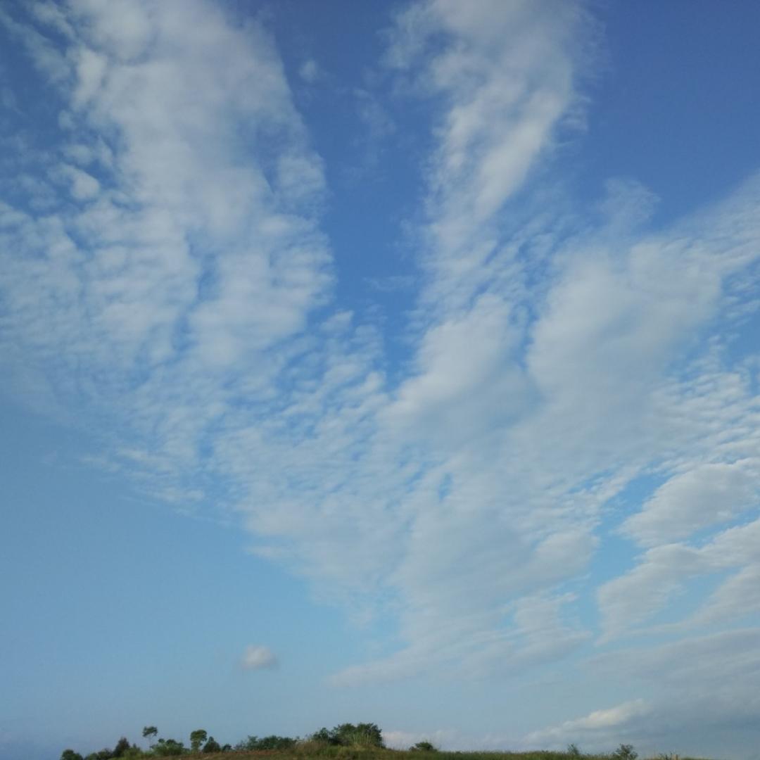 素简肖