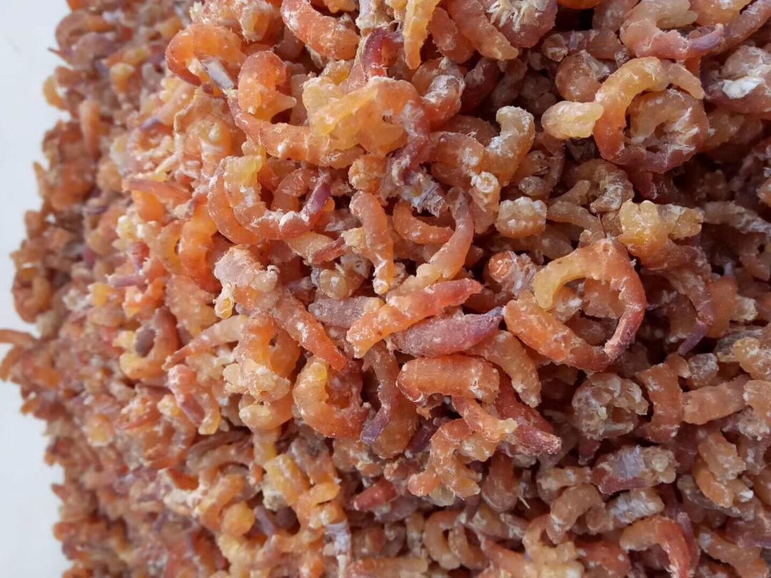 金钩海米仙贝丁娃娃菜鸭蛋羹--松下NU-SC88JS嵌入式蒸烤一体机