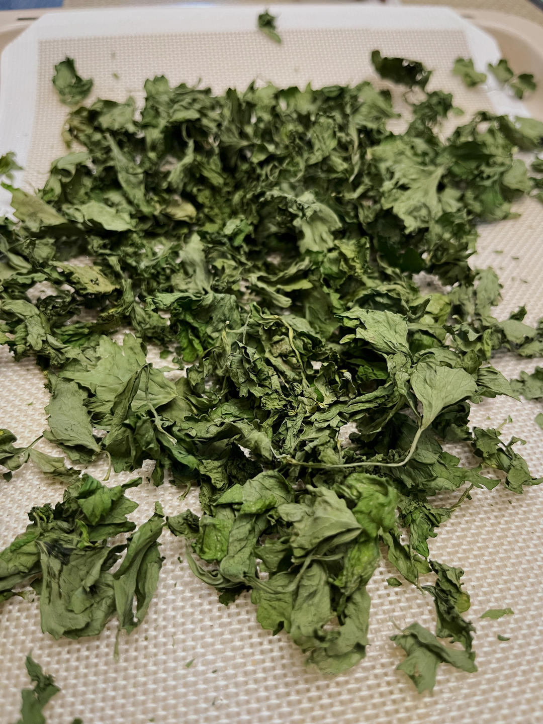 超香！用芹菜叶子 自制欧芹碎（香料调料）