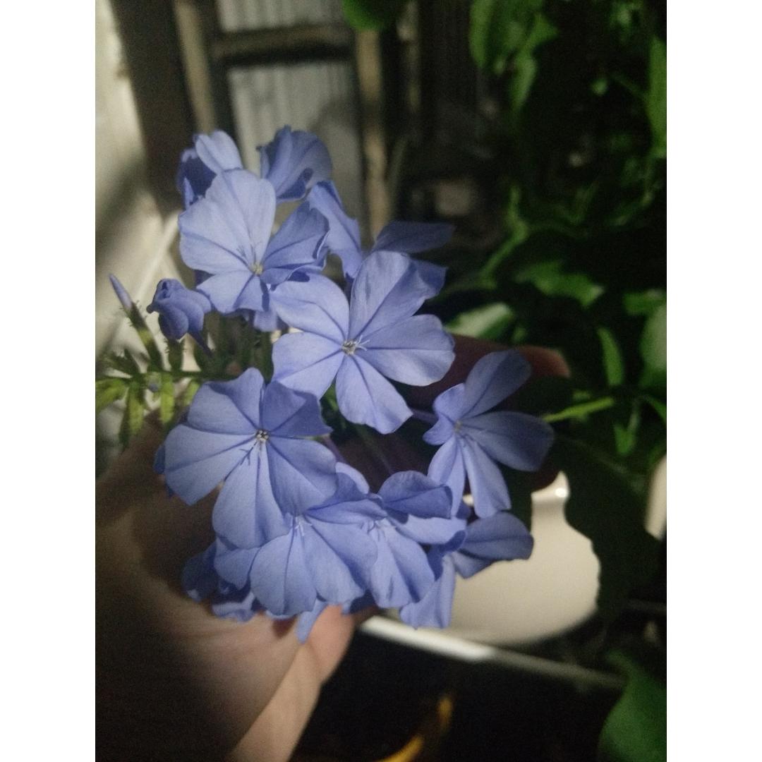 乱花渐欲迷人眼