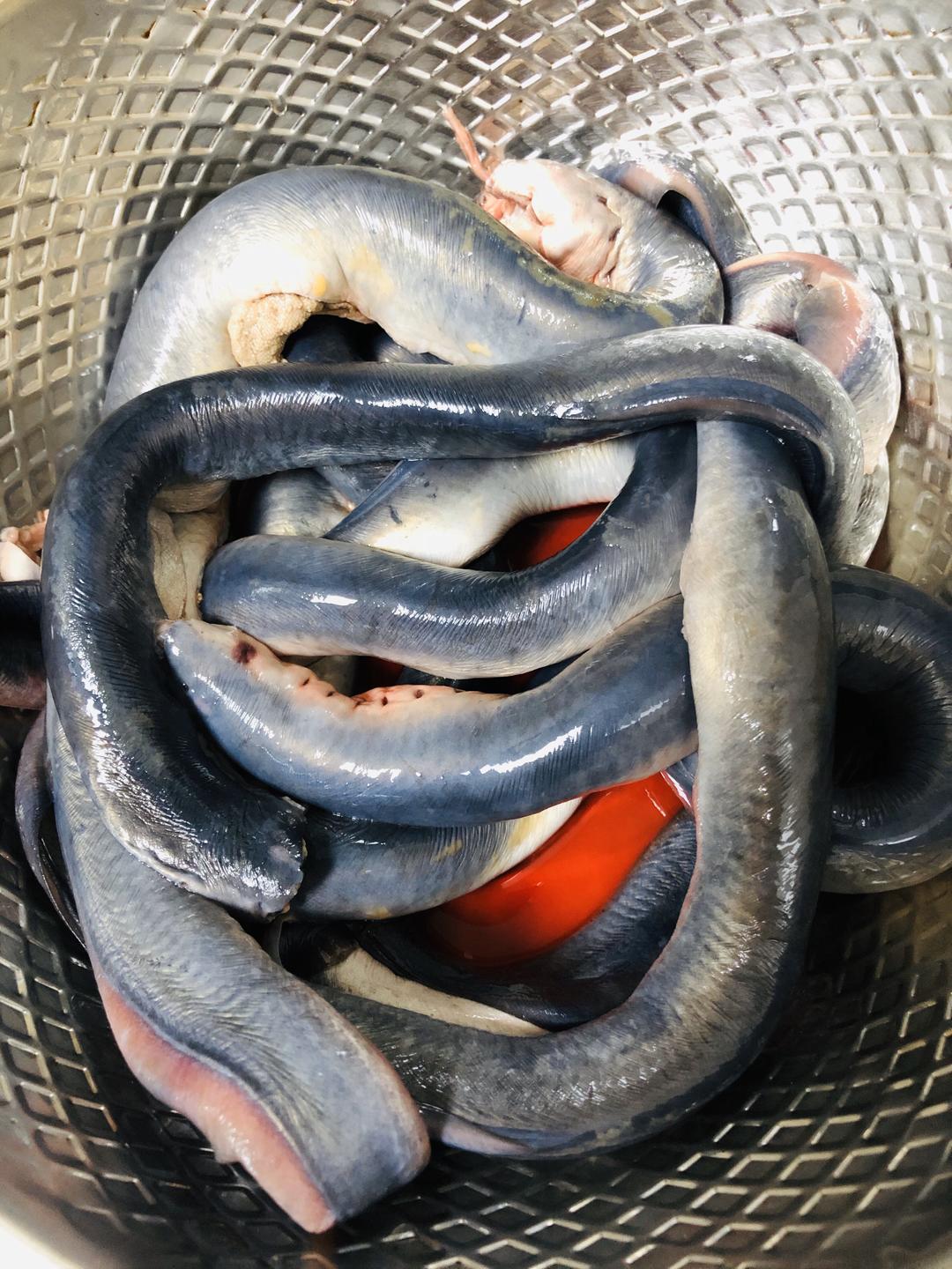 红烧七星鳗鱼的做法 步骤1