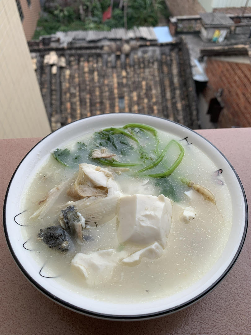 芫茜豆腐鱼头汤