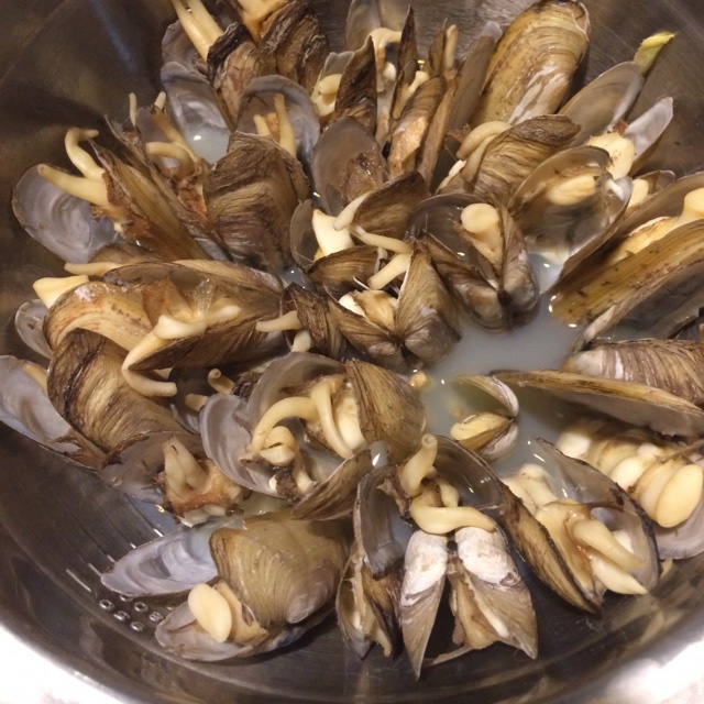 原汁原味的插蛏（蛏子）