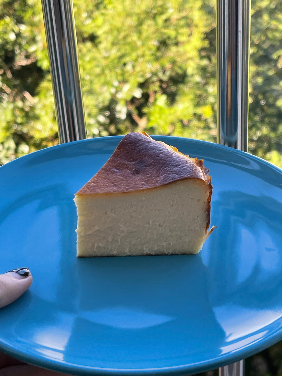 巴斯克蛋糕（马壮实）
