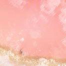 手机用户0208_t17h