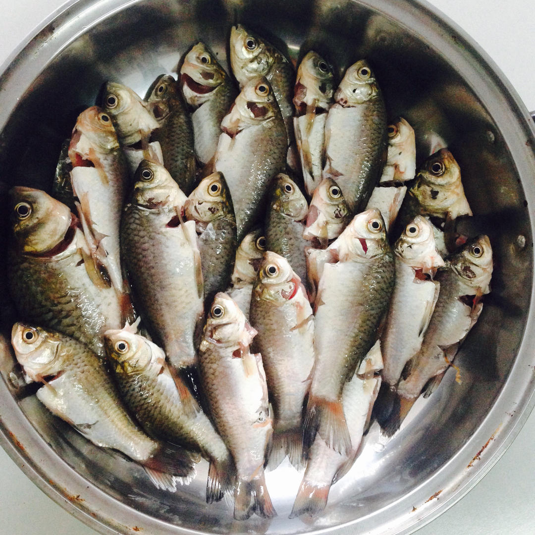 奚奚妈做的油爆鱼