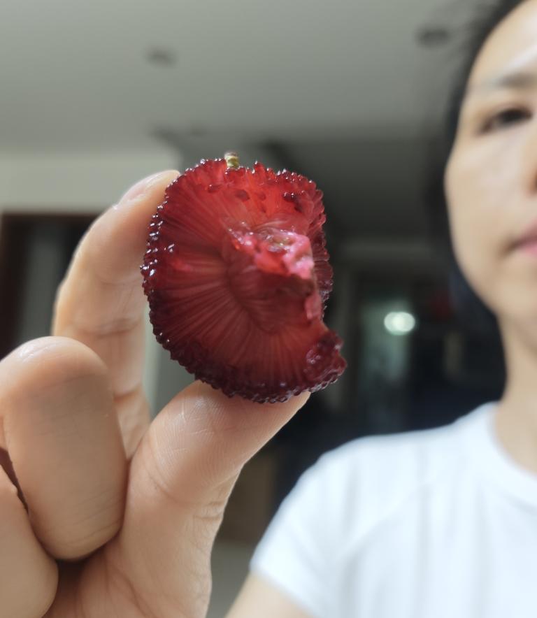 黄皮肤的白人饭 (饮食笔记2025)