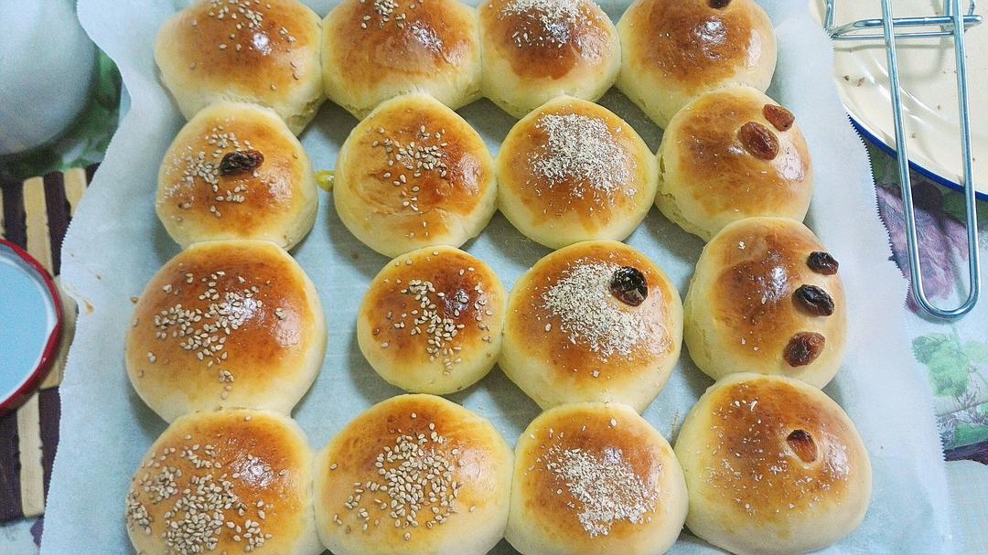 鲜奶油小餐包（一次发酵）