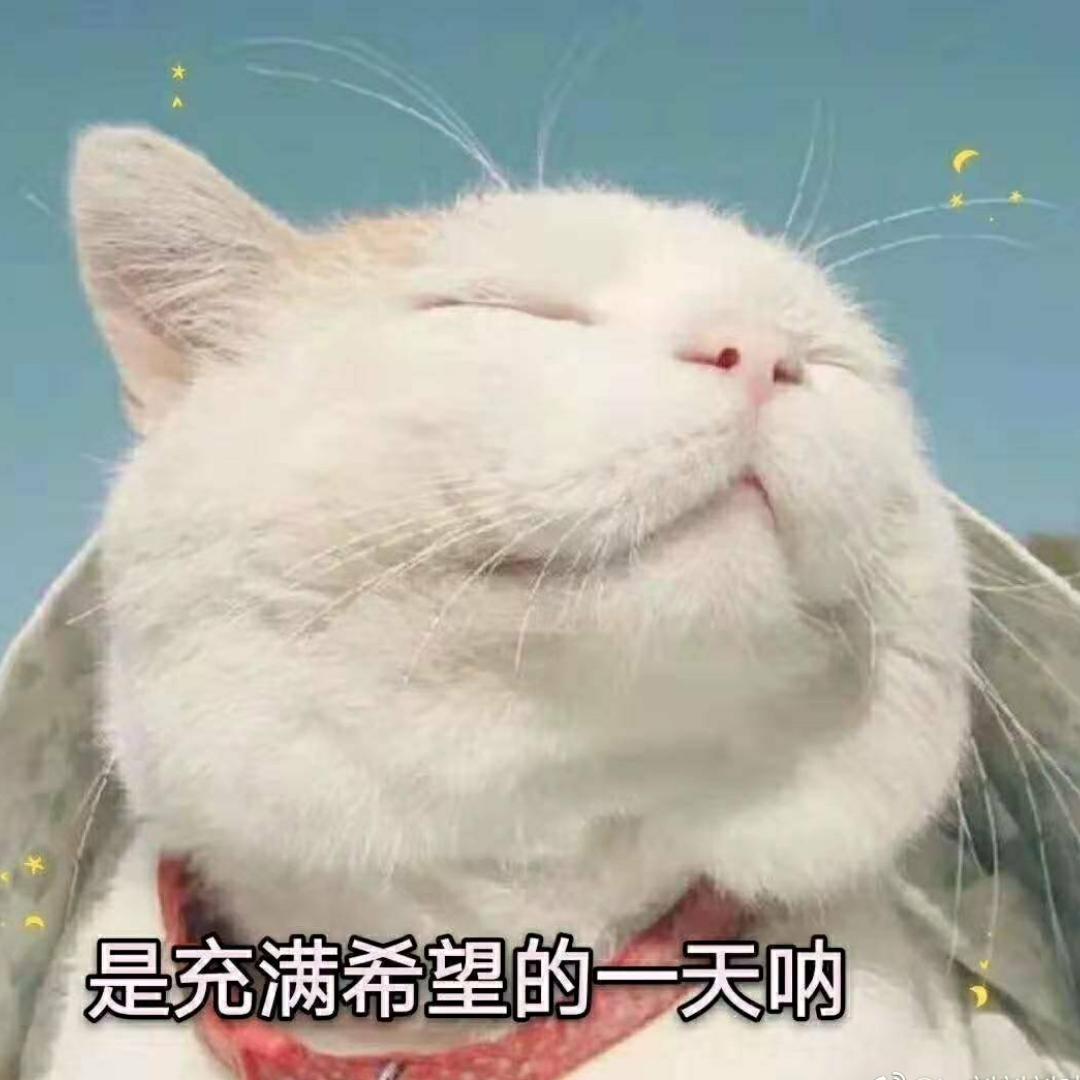 被风吹走的帽子