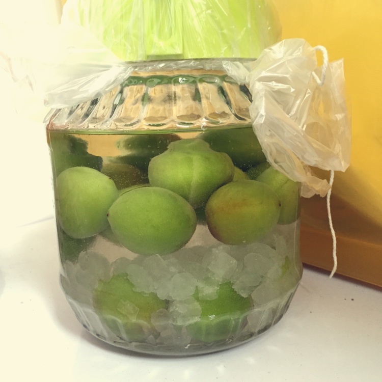 青梅酒（优的春日私酿第二話）