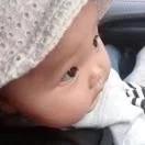 花开到荼蘼dhm