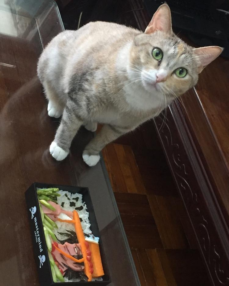 海贼王🏴‍☠️艾斯便当