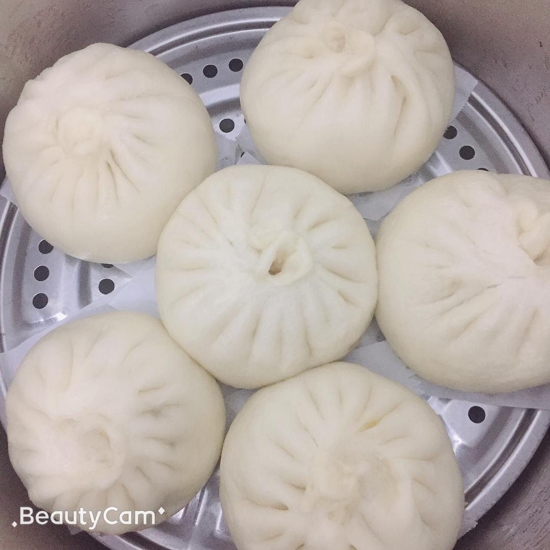 酸菜猪肉大包子