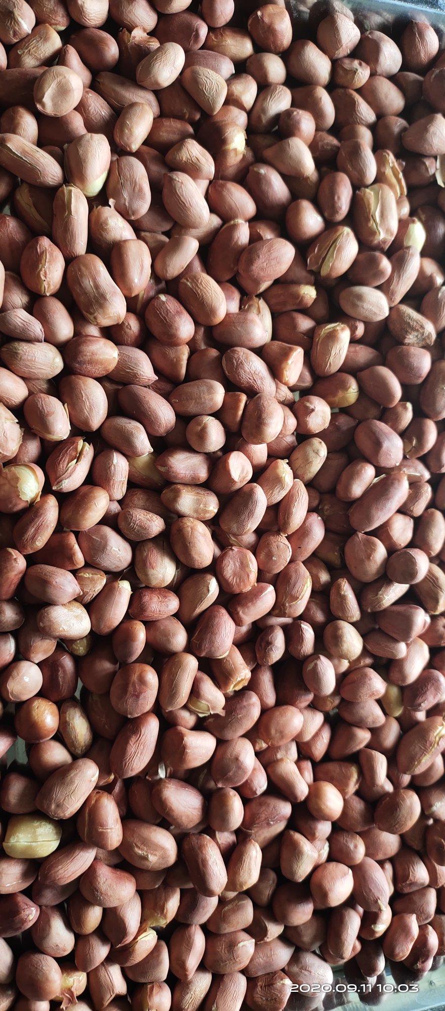 做过烤箱版花生米