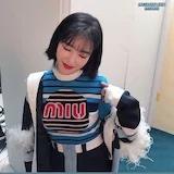 Mo酱酱