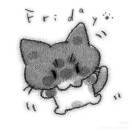 白冉柏