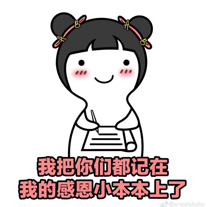 西瓜头泰迪
