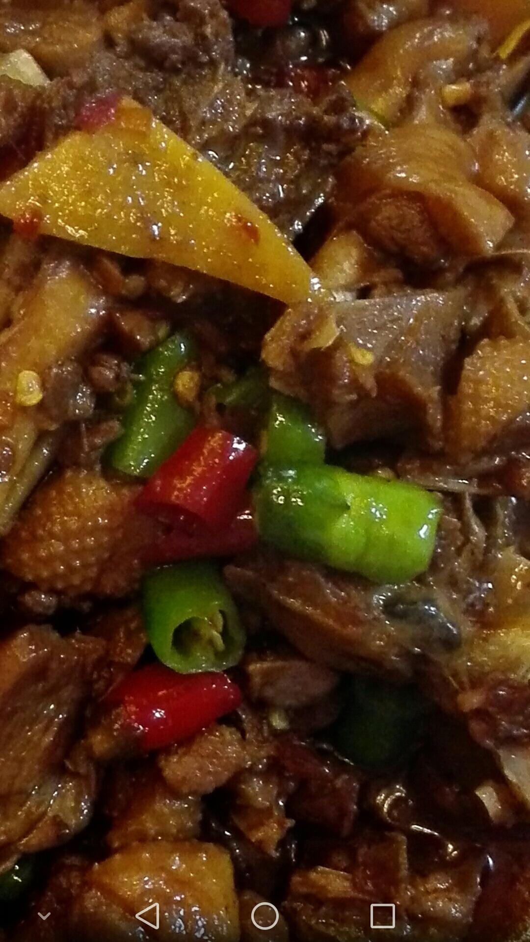 红烧鸭