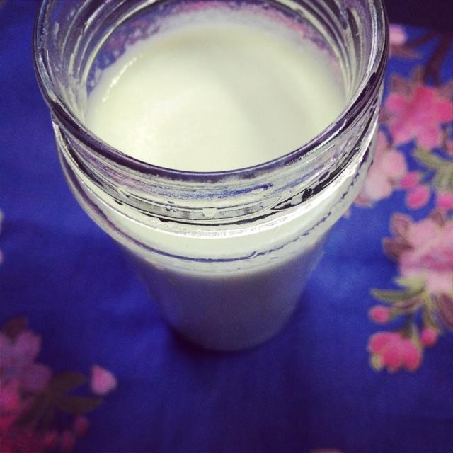 夏日特饮 香瓜牛奶汁